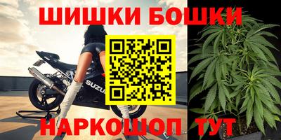 дмт Сланцы