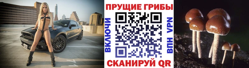 Псилоцибиновые грибы ЛСД  Сыктывкар 