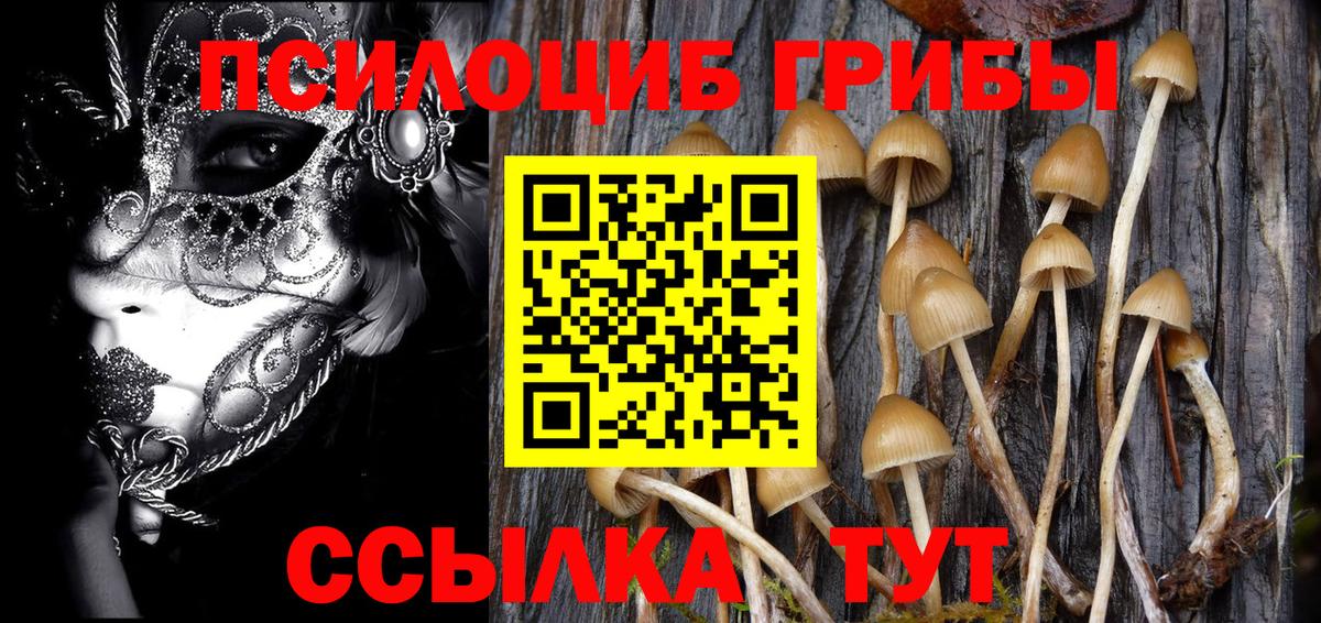 Псилоцибиновые грибы Cubensis Сыктывкар