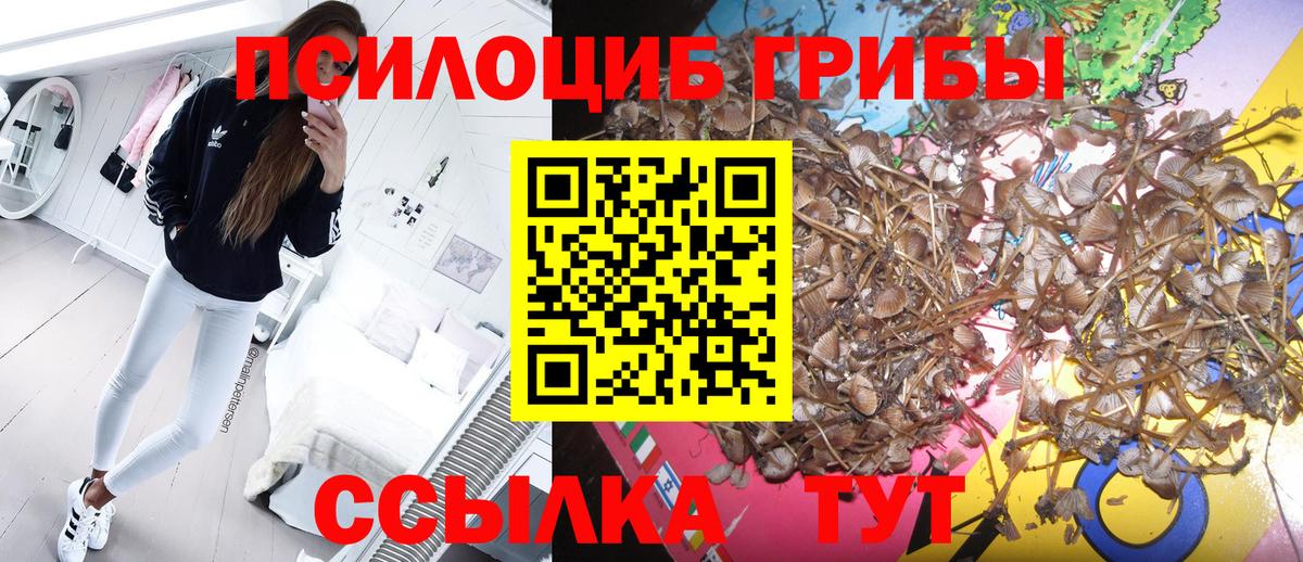 Сыктывкар  Псилоцибиновые грибы мухоморы  Вход с VPN 